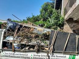 Trusted Bella Vista, AR Junk Removal Experts